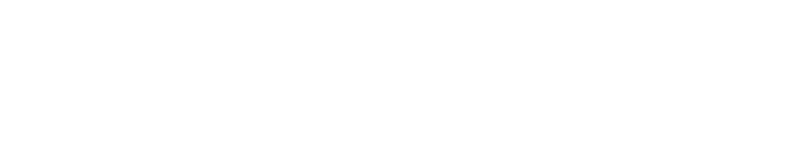 The American University in Cairo
